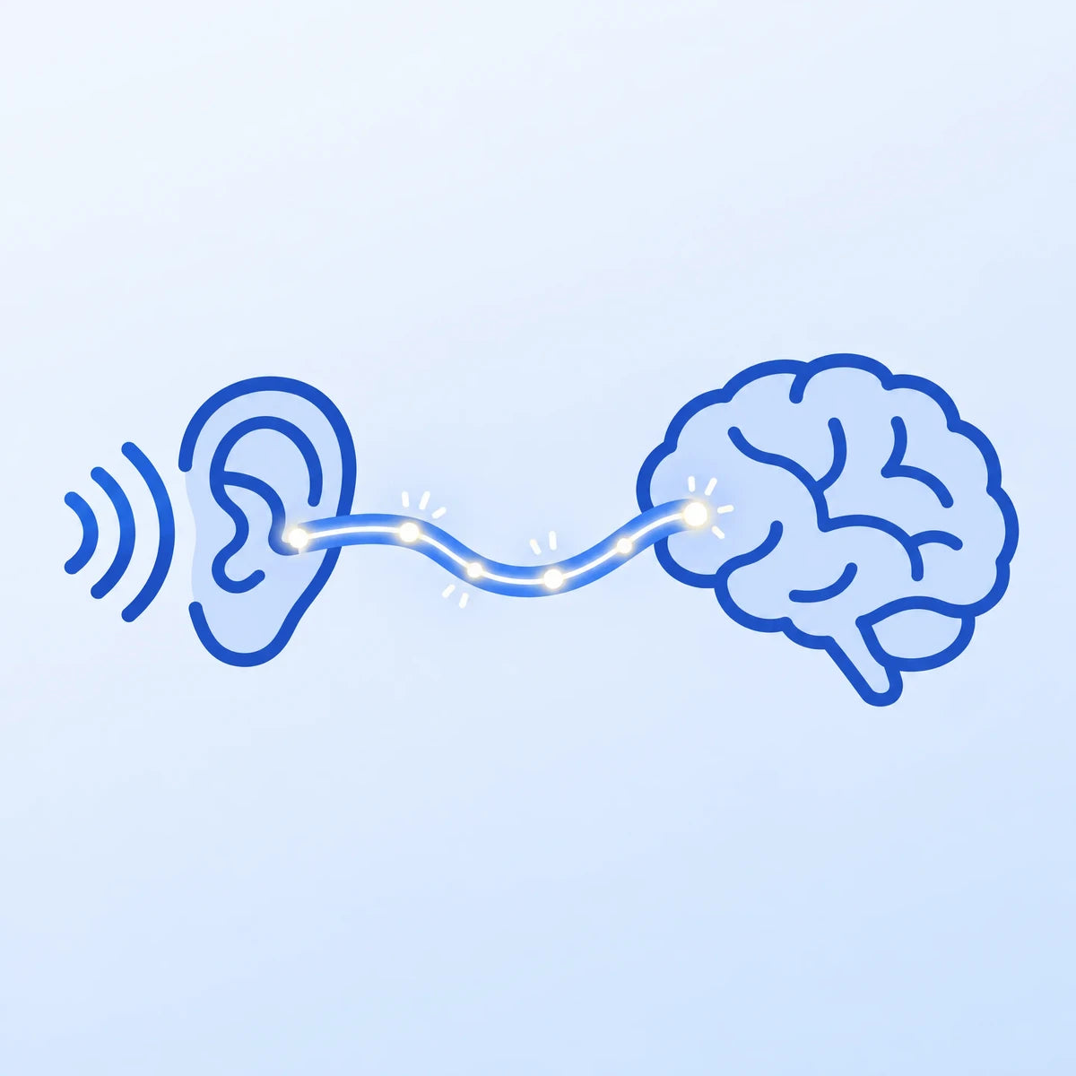 Illustration: a nerve signal travelling from the ear to the brain